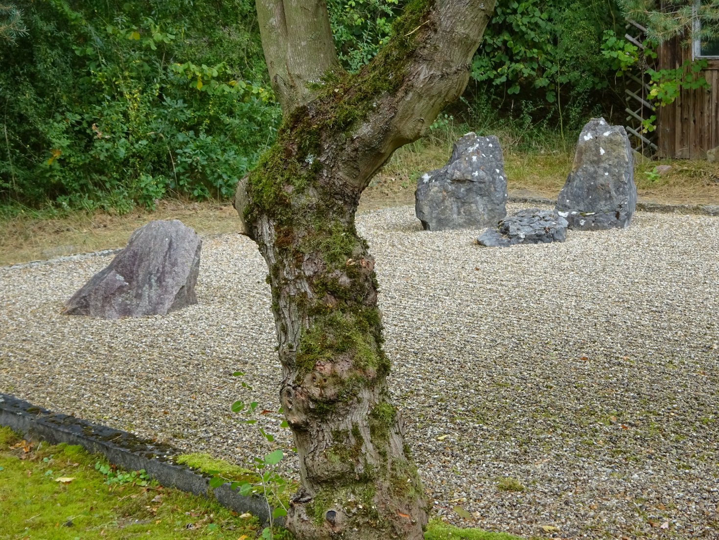 steingarten choka-sangha choka-sangha
